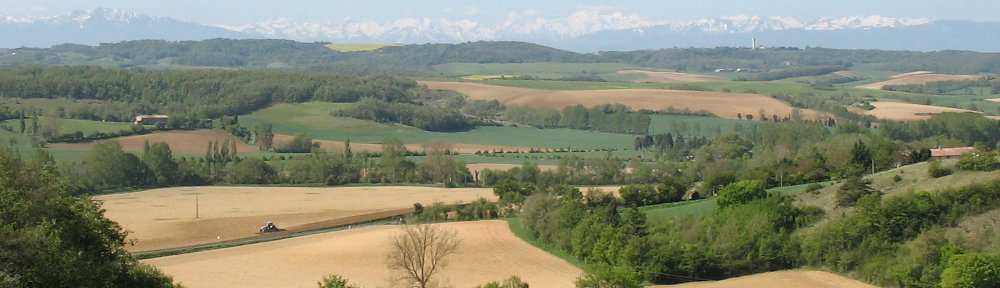 Another Year in France